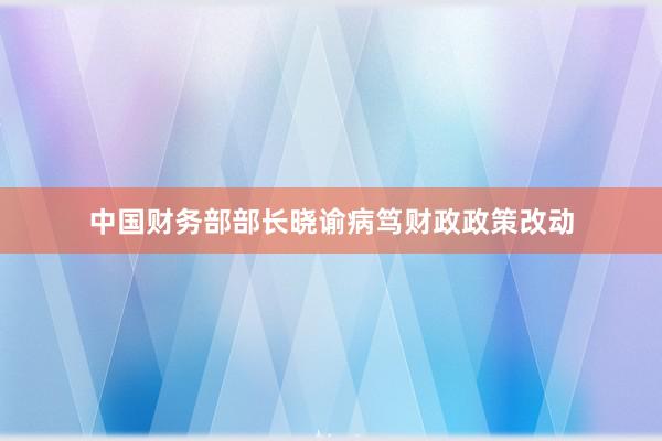 中国财务部部长晓谕病笃财政政策改动