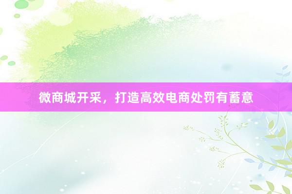 微商城开采，打造高效电商处罚有蓄意