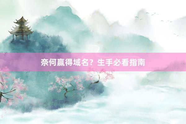 奈何赢得域名？生手必看指南